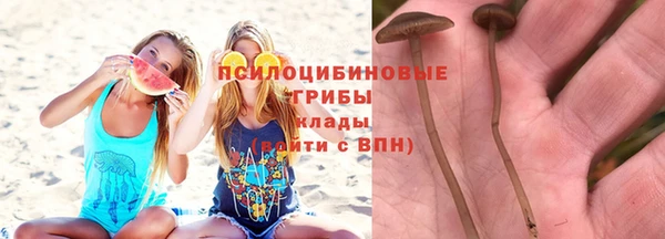 бутират Касимов