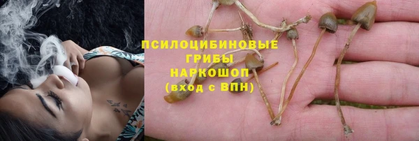 марки lsd Алзамай